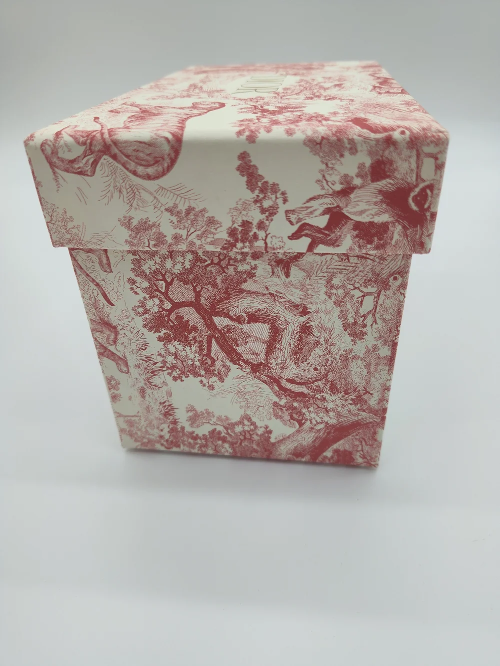 DIOR Toile Jungle Gift Box Tissue Paper Ribbon Set Pink Cream Gold Packaging EUC
